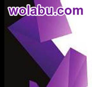 Agencia de Marketing Digital Wolabu